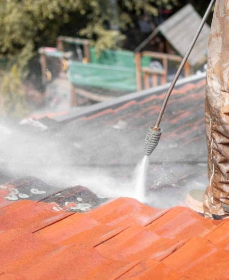 Roof-Cleaning